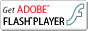 flash player_E[h