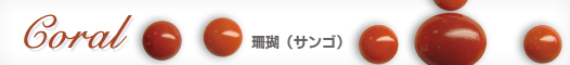 珊瑚(サンゴ) 珊瑚(サンゴ)